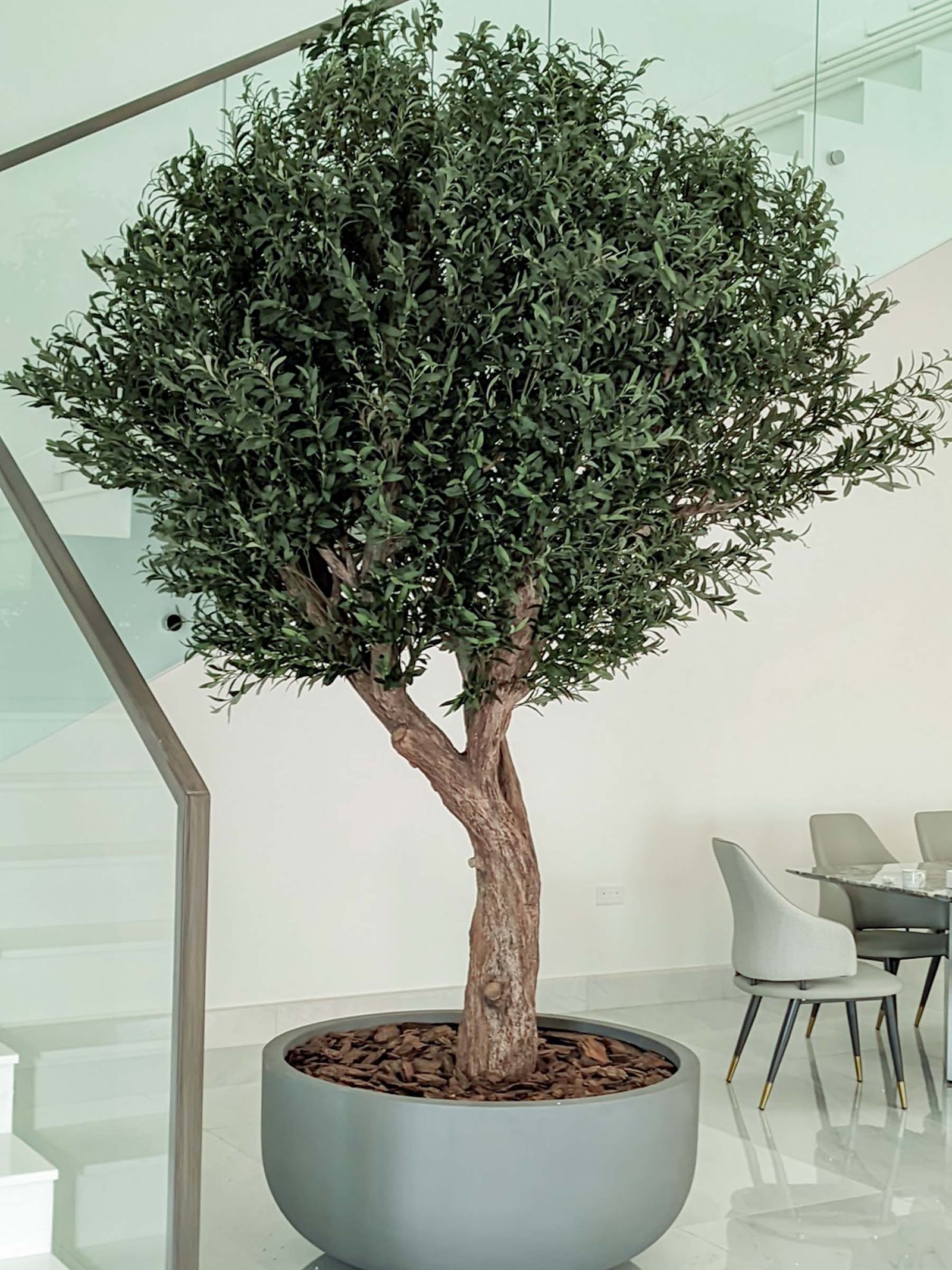 Create a serene atmosphere with our Artificial Olive Tree. Its impressive height and width bring Mediterranean charm without maintenance demands. 🏡