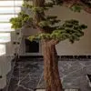 9660(2) Elevate your space with this stunning Artificial Bonsai Tree! Its realistic design and stylish pot will bring everlasting beauty to any setting.