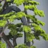 Artificial Bonsai Tree