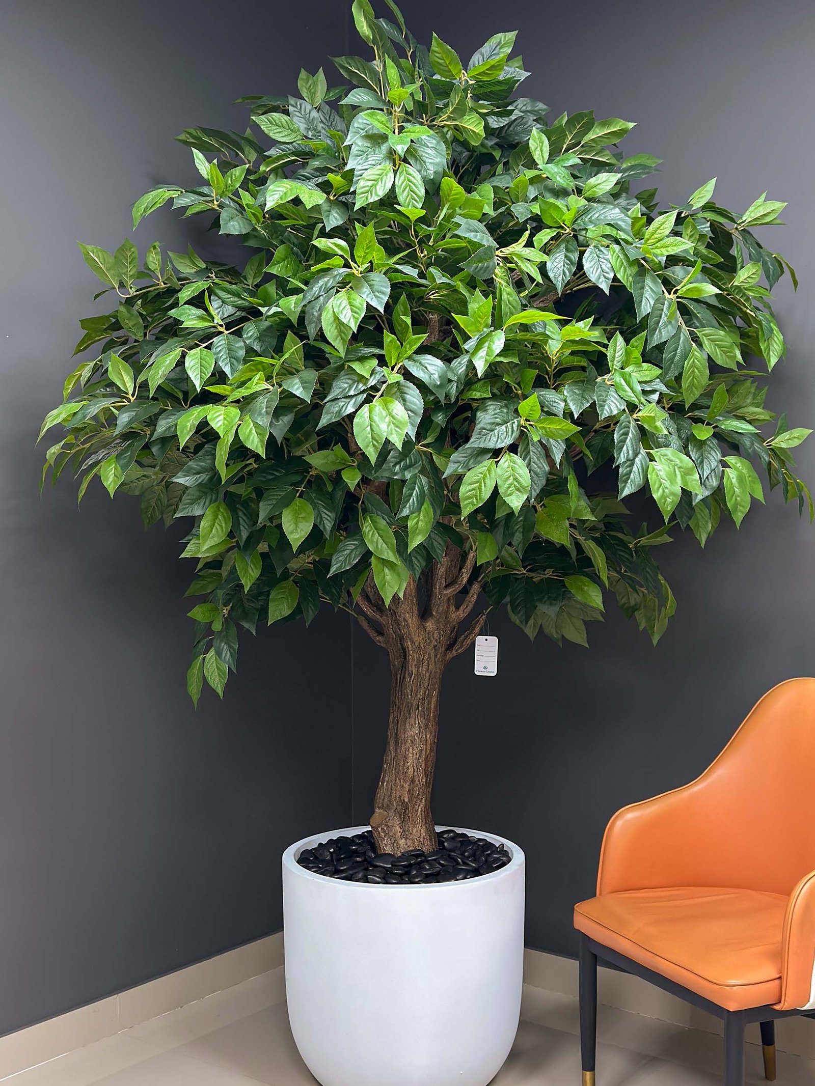 Add a touch of elegance with the Green Tree artificial Ficus! Experience the beauty of nature indoors, without any maintenance. Buy yours now!