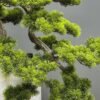 Medium faux pine bonsai tree AT-9731 in tall white modern vase