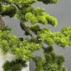 9731(2) Medium faux pine bonsai tree AT-9731 in tall white modern vase