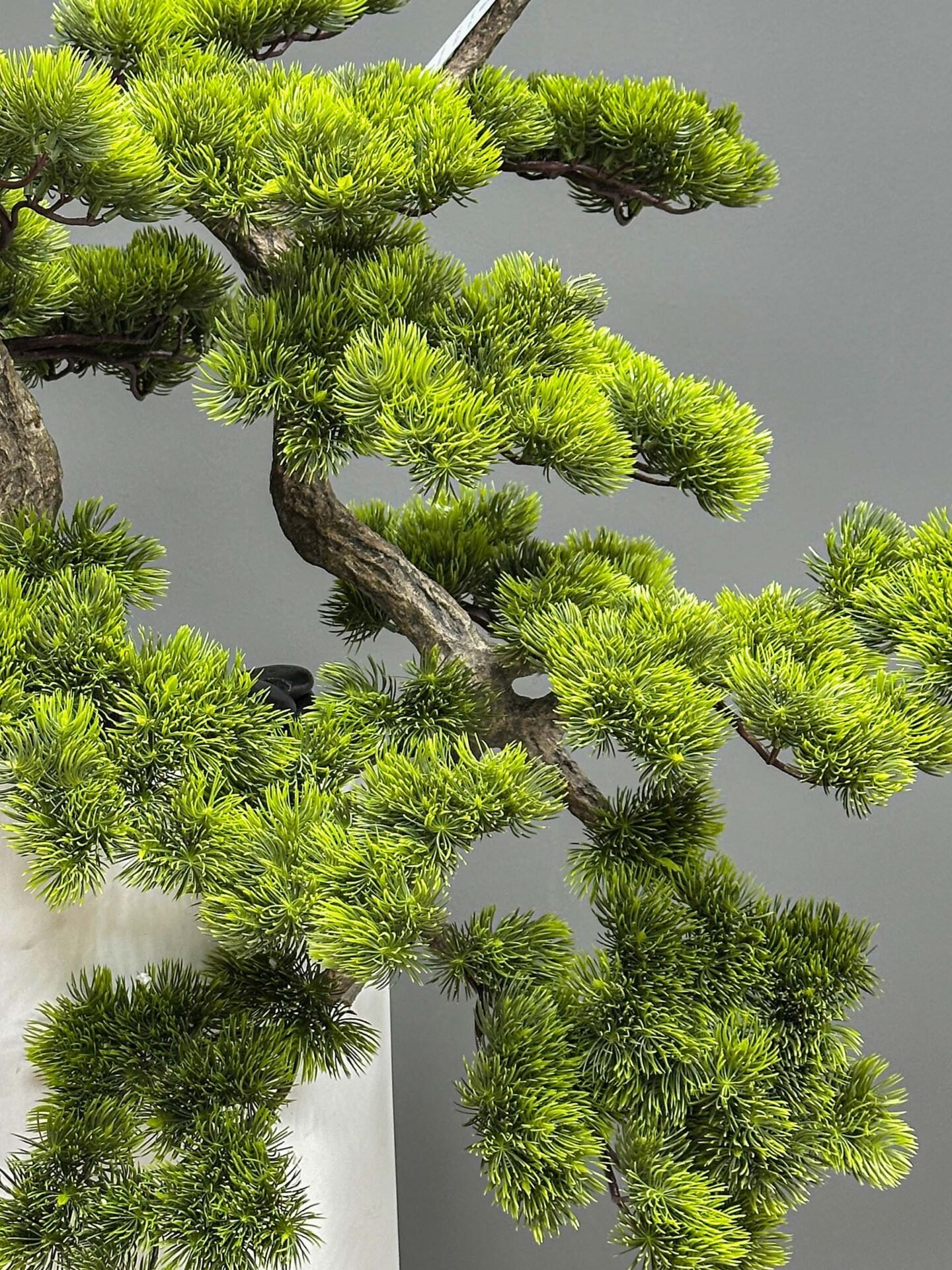 Medium faux pine bonsai tree AT-9731 in tall white modern vase