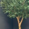 Elevate your interior with our gorgeous Artificial Olive Tree. Enjoy the charm of nature in your home or workspace all year round!