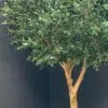 9753(2) Elevate your interior with our gorgeous Artificial Olive Tree. Enjoy the charm of nature in your home or workspace all year round!