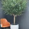 Elevate your interior with our gorgeous Artificial Olive Tree. Enjoy the charm of nature in your home or workspace all year round!
