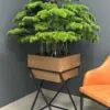 9580 Artificial Bonsai Tree