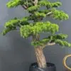 Elevate your space with this stunning Artificial Bonsai Tree! Its realistic design and stylish pot will bring everlasting beauty to any setting.