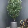 9702 Elevate your interior with our gorgeous Artificial Olive Tree. Enjoy the charm of nature in your home or workspace all year round!