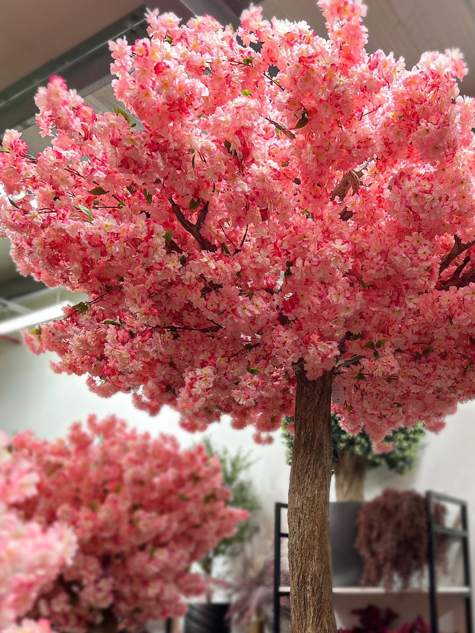 9707Bring elegance to your interior with the beautiful Artificial Cherry Blossom Tree. This impressive décor adds a dramatic touch to your room! 🌸