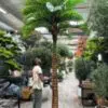 Transform your space with our stunning Artificial PALM TREE. Add natural artistry and tranquility effortlessly—shop now for yours!