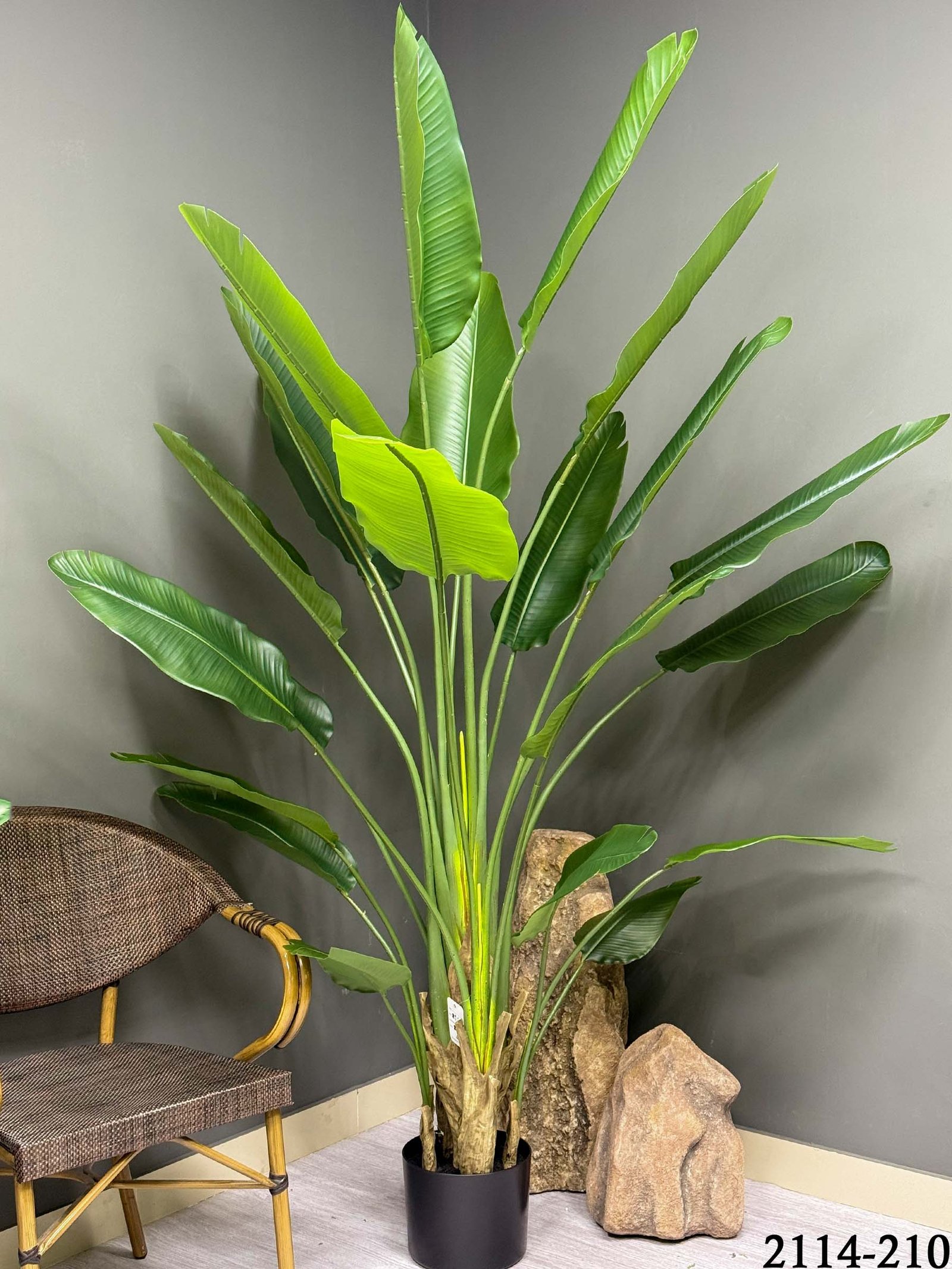 Large Faux Paradise / Traveler's Palm (210cm)- Artificial Paradise Decor 2114-210