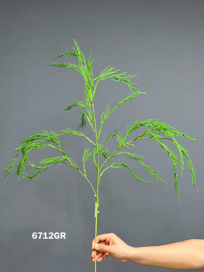 Accessories – 6712