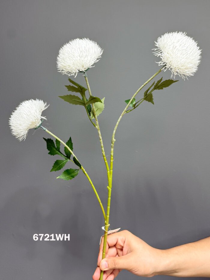 Accessories – 6721