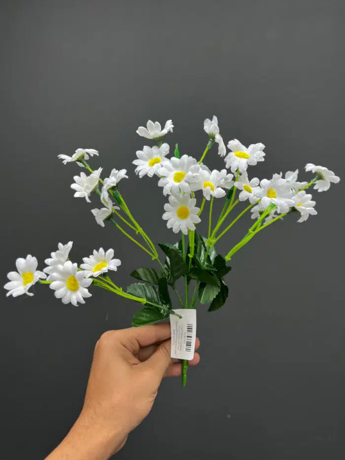 Daisy bunches -67344