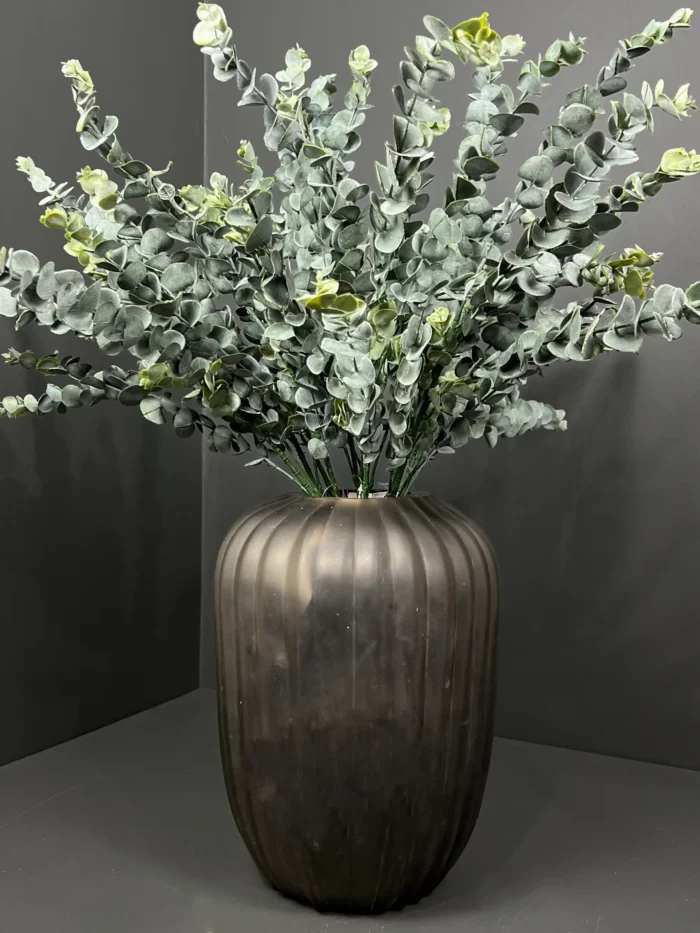 5pcs eucalyptus 1020-37