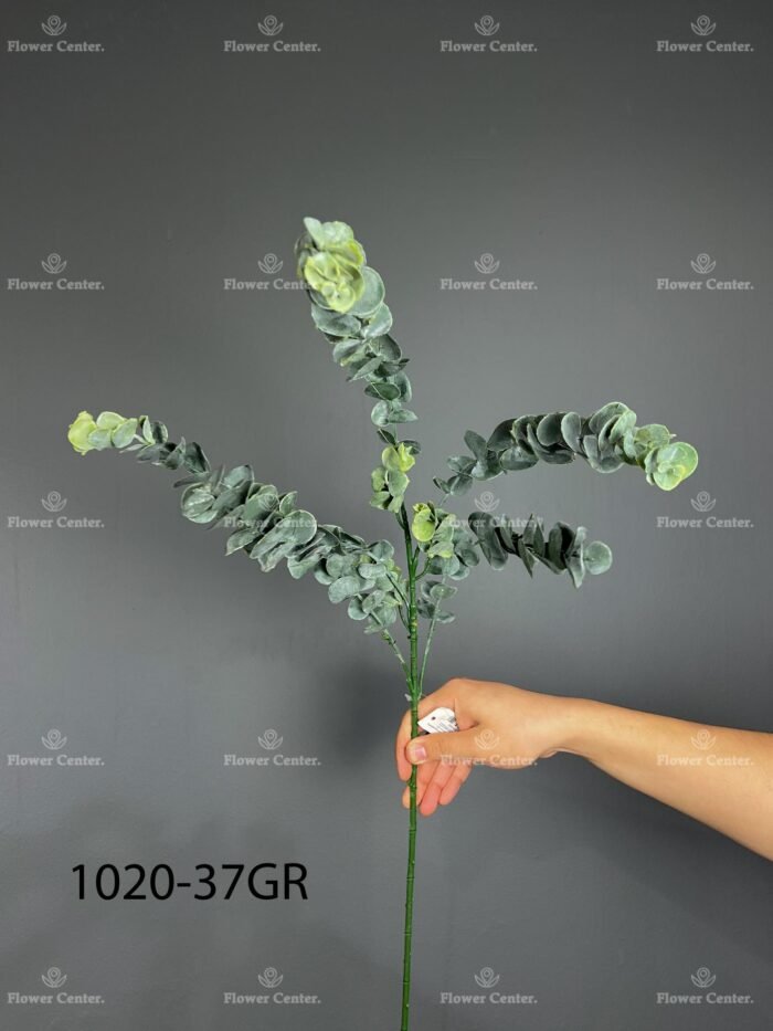 5pcs eucalyptus 1020-37