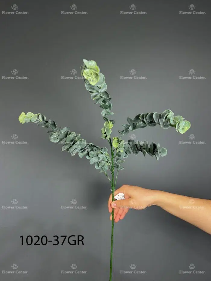 5pcs eucalyptus 1020-37