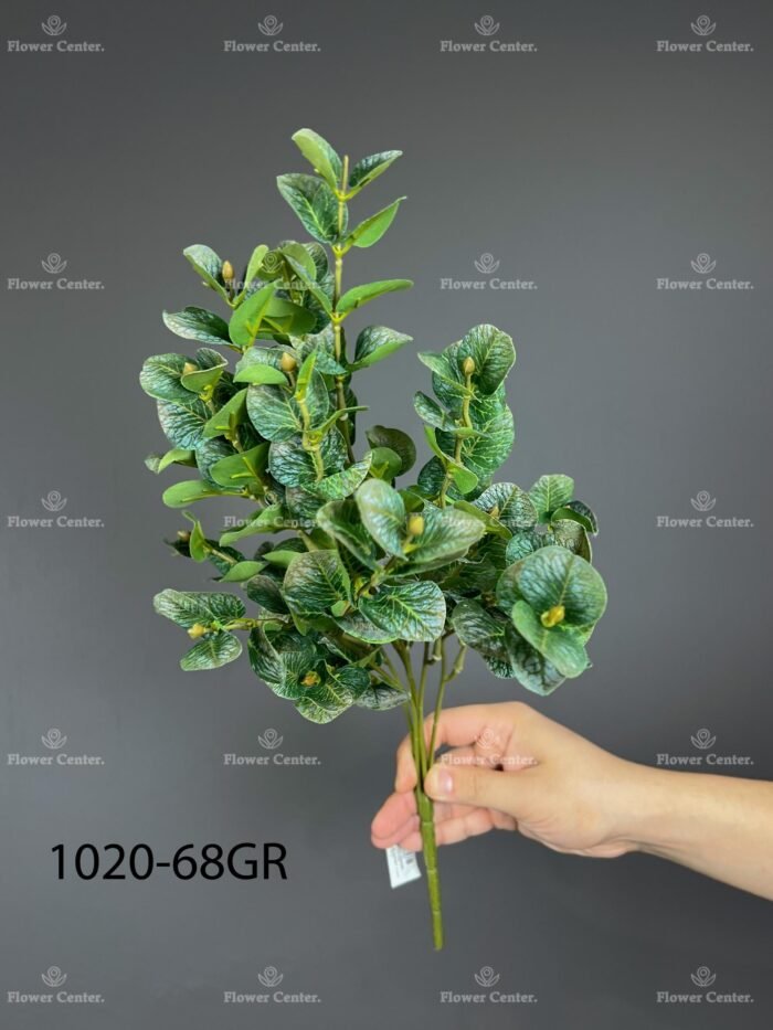 Eucalyptus – 1020-68