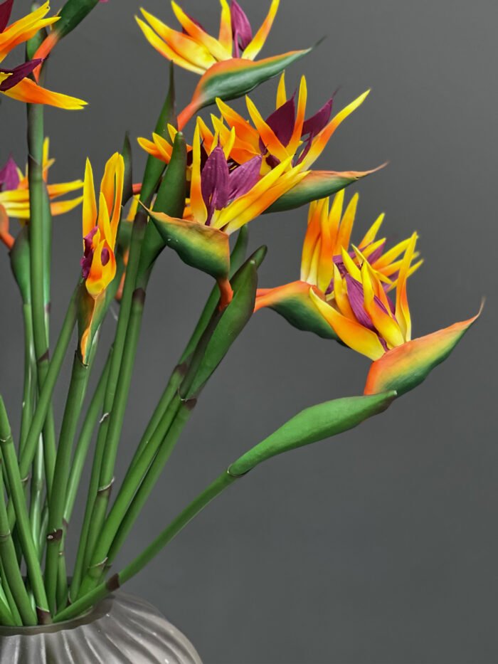 Bird of paradise-M -1152-3M