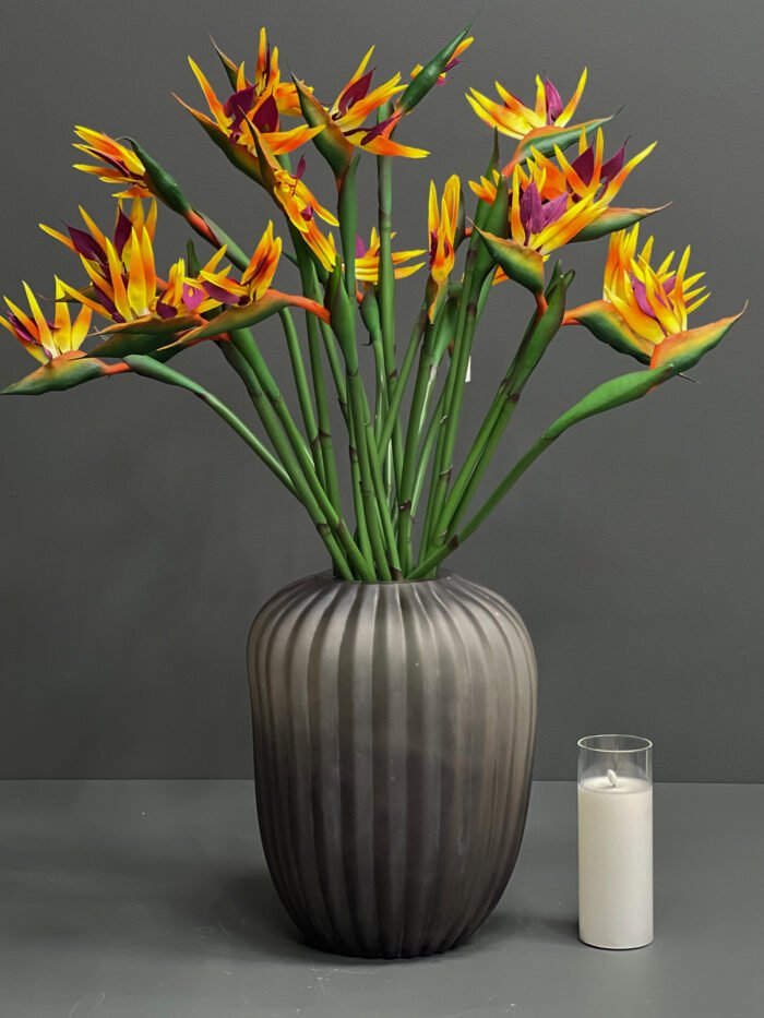 Bird of paradise-M -1152-3M
