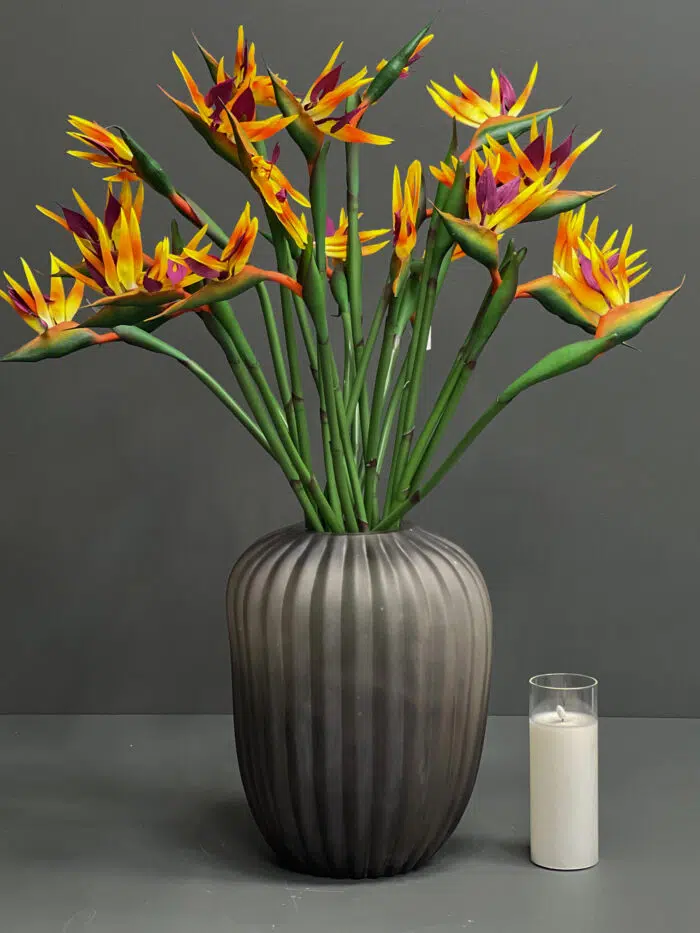 Bird of paradise-M -1152-3M