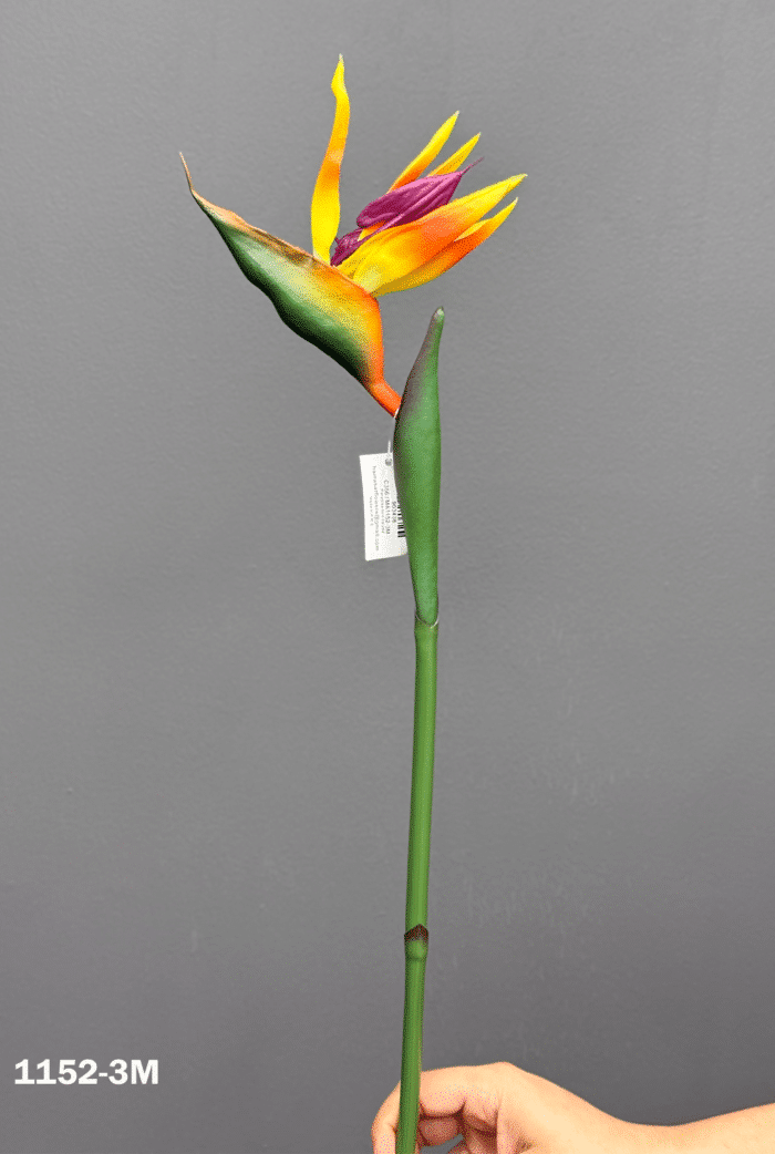 Bird of paradise-M -1152-3M