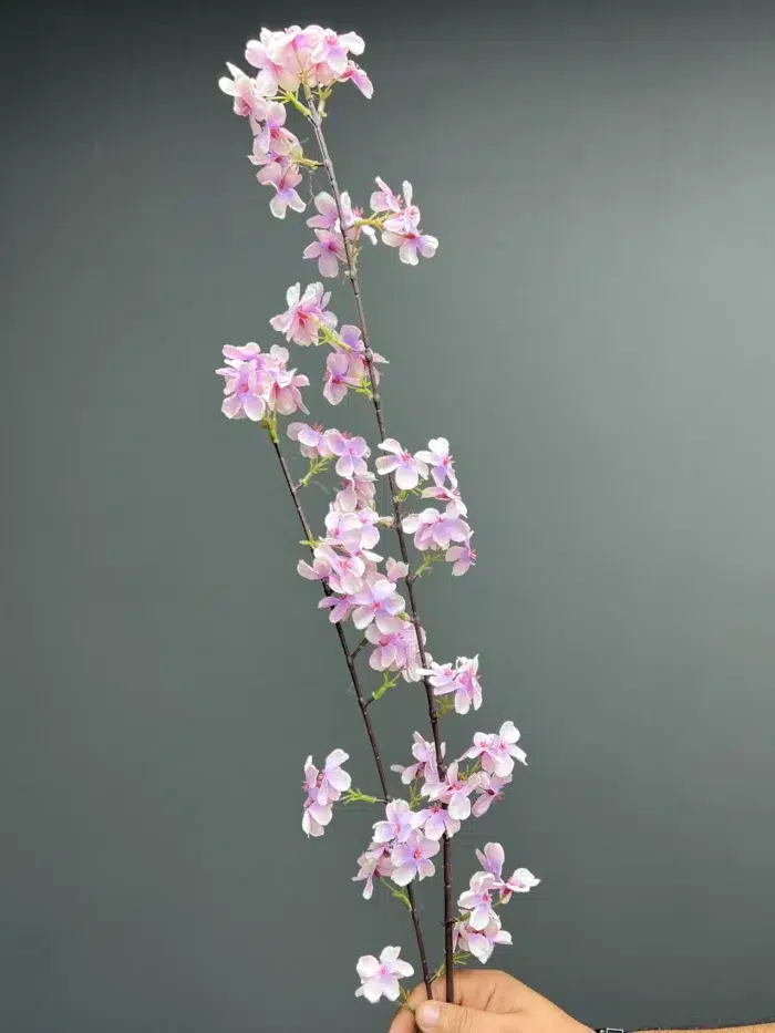 Cherryblossom – 1617-25