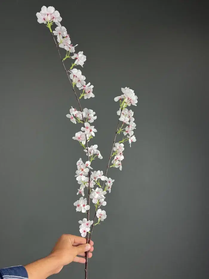 Accessories – 1617-27