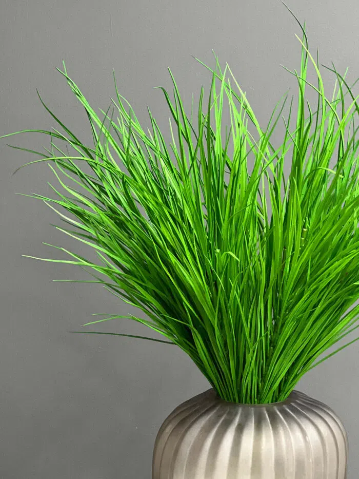 Accessories -1973-2gr