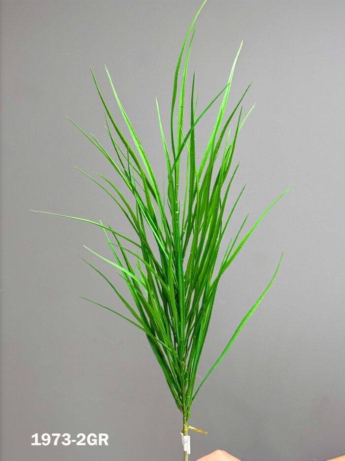 Accessories -1973-2gr