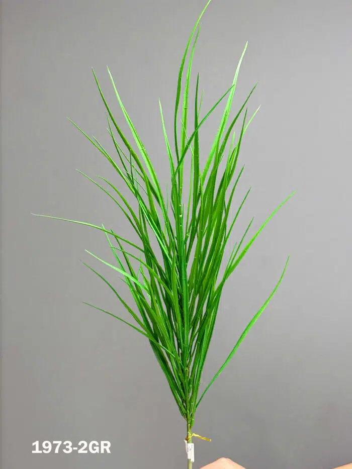 Accessories -1973-2gr