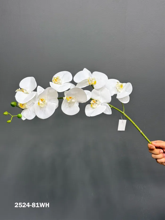 9F Real Touch Orchid 2524-81