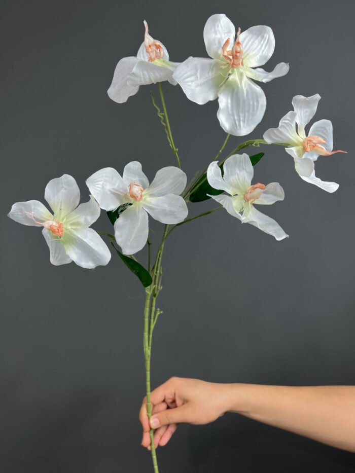 Orchid – 2524-93