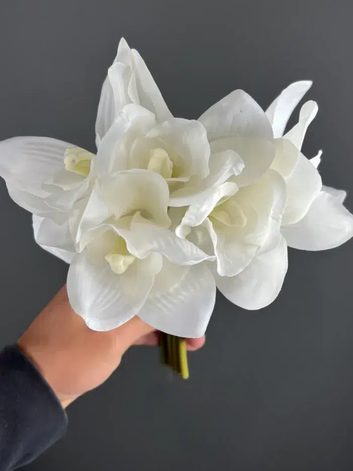 5 cymbidium banquet – 4420-1