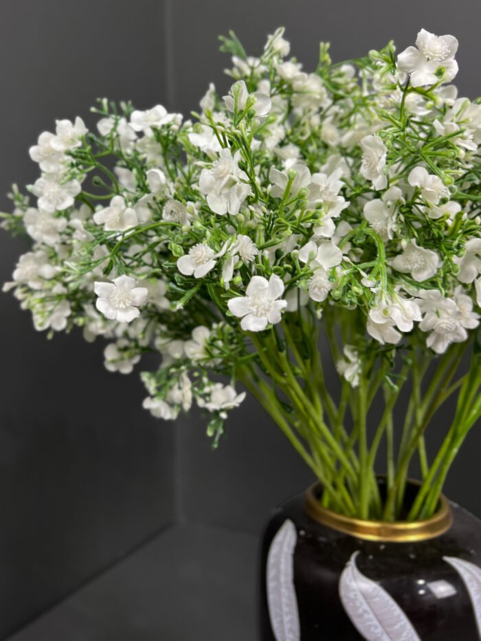 Babysbreath -4465-24