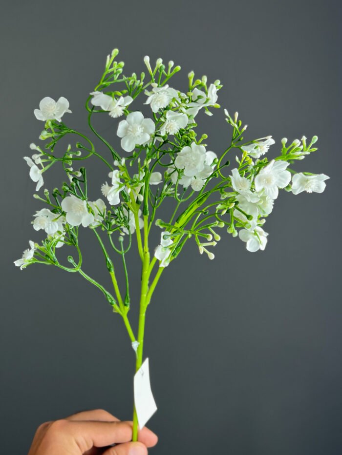 Babysbreath -4465-24