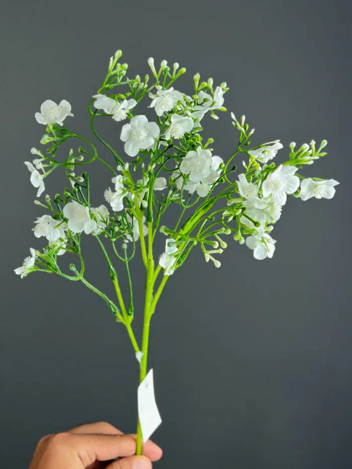 Babysbreath -4465-24