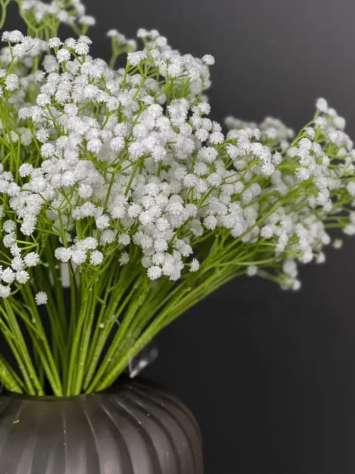Babysbreath – 4465-25