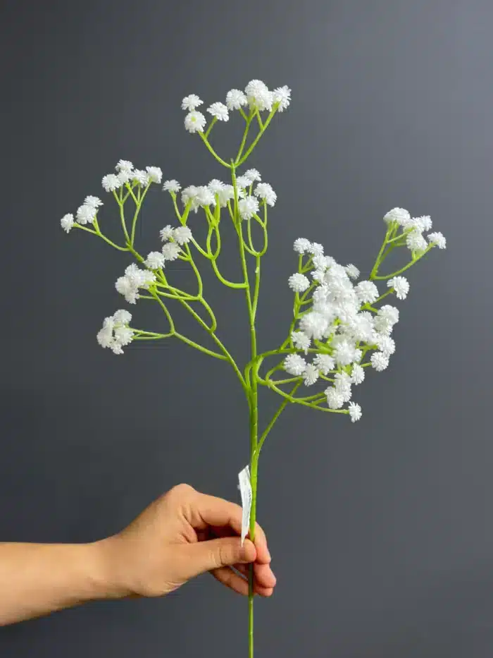 Babysbreath – 4465-25
