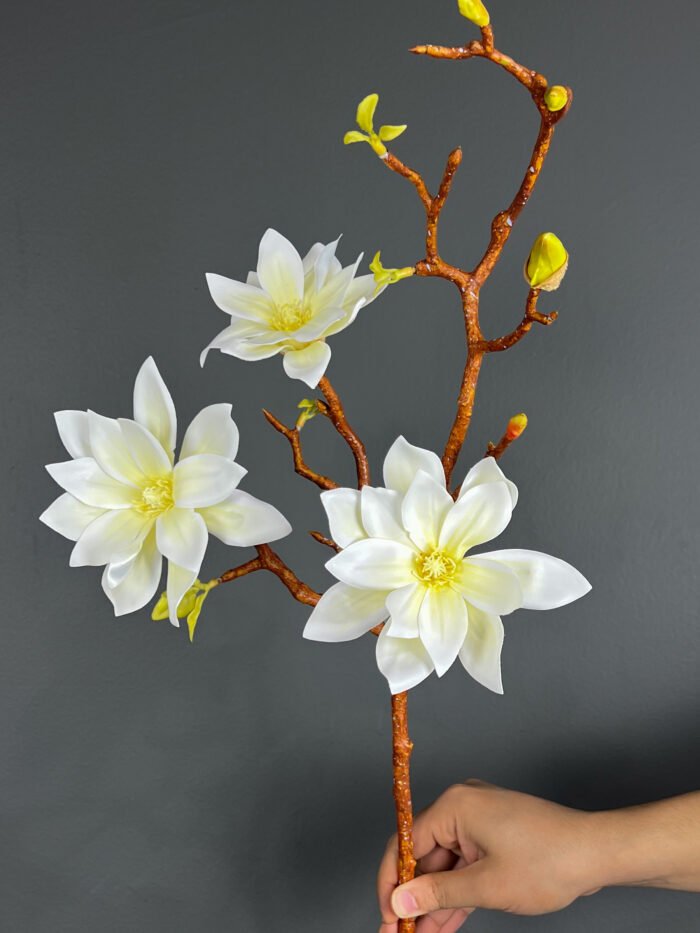 3F Magnolia – 4924-7