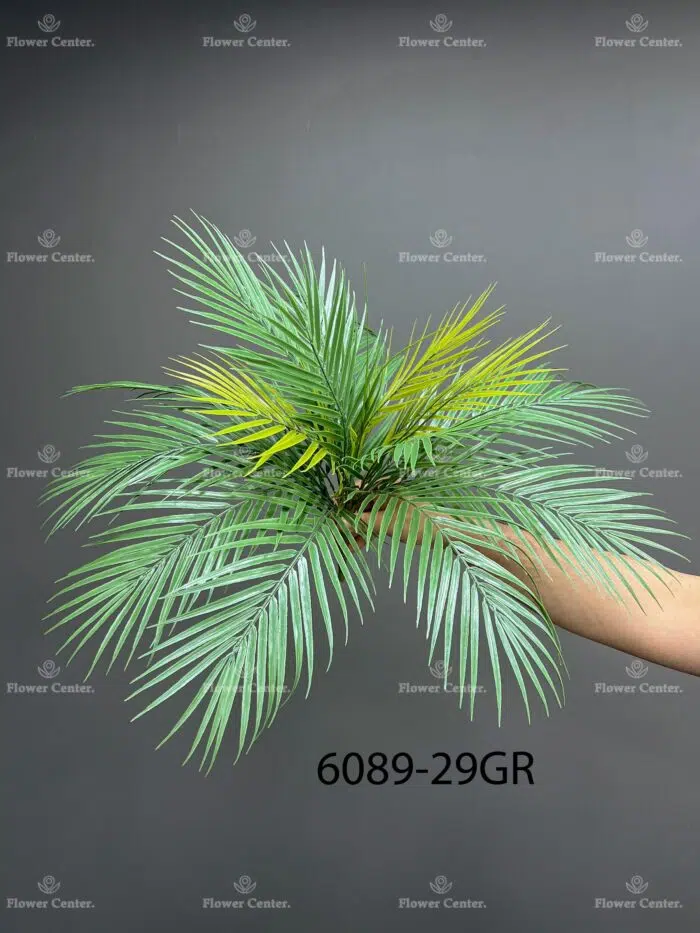 Fern – 6089-29