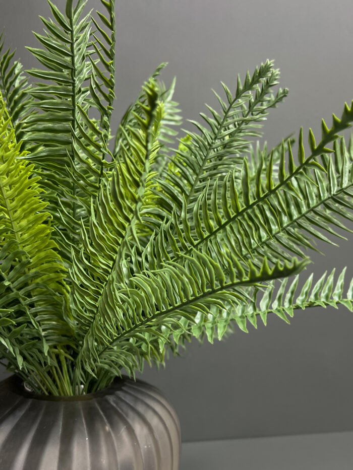 Fern 6089-40