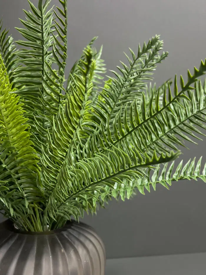 Fern 6089-40