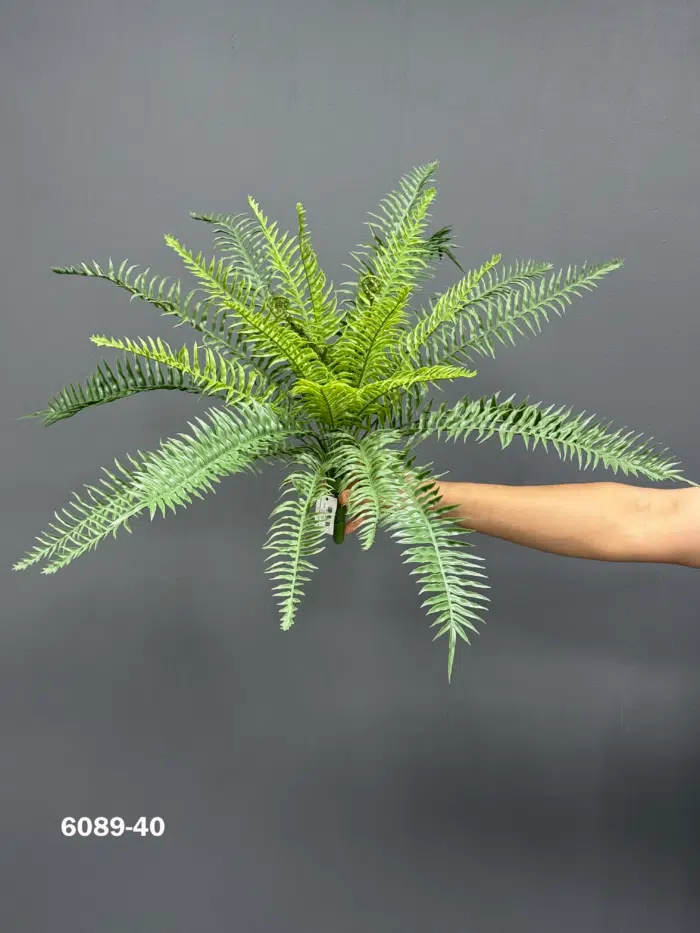 Fern 6089-40