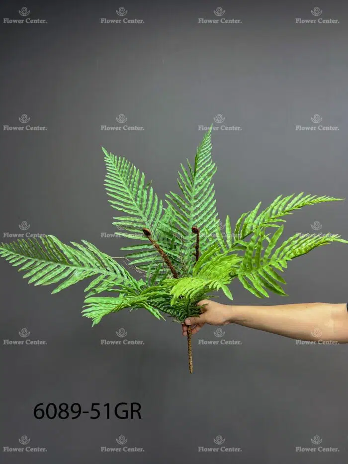 Fern – 6089-51