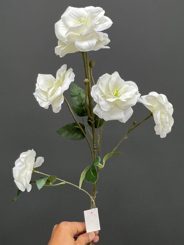 Eustoma -Flowers 6498-25PK