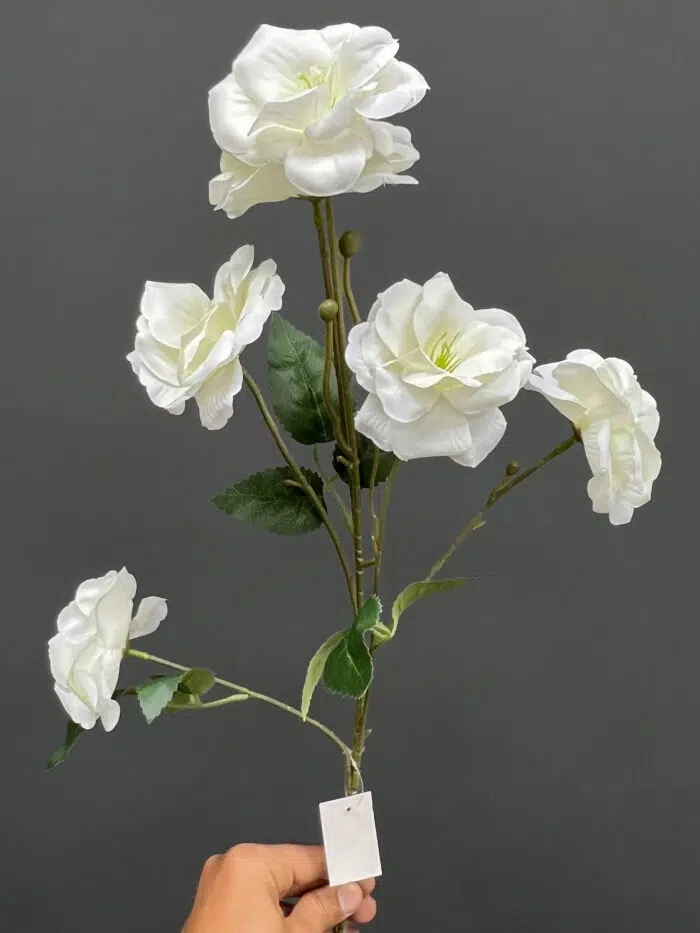 Eustoma -Flowers 6498-25PK