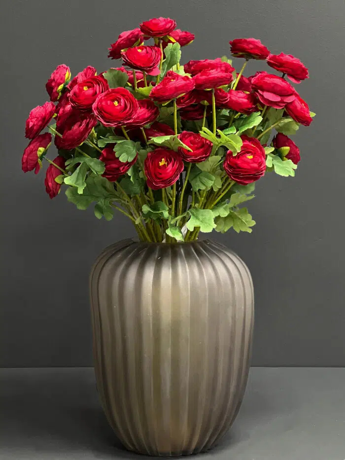 Ranunculus 6498-26DRD