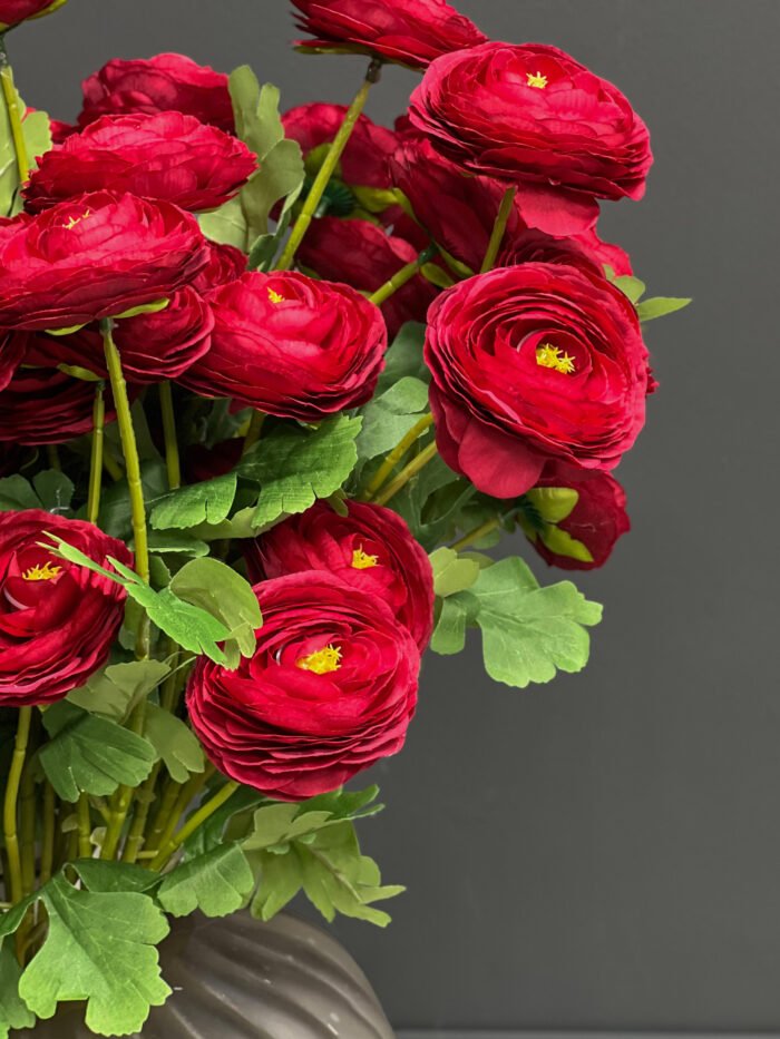 Ranunculus 6498-26DRD